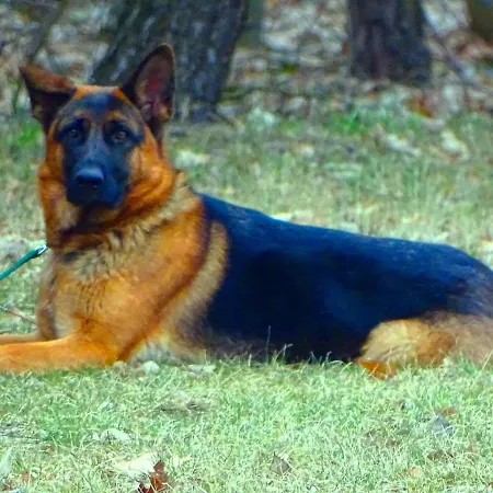 Moeller Appartamento